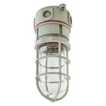 Hubbell NVX15GHGA Ceiling Mount Vaportight Light Fixture